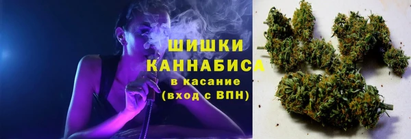 скорость Алзамай