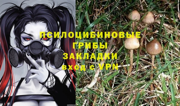 скорость Алзамай