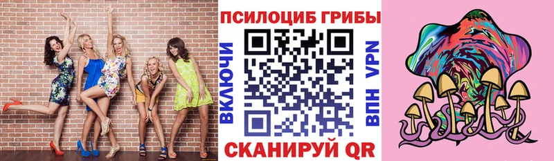 Галлюциногенные грибы Psilocybe Спасск